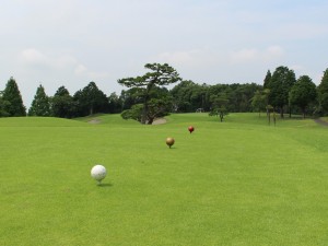 大富士ゴルフ場2